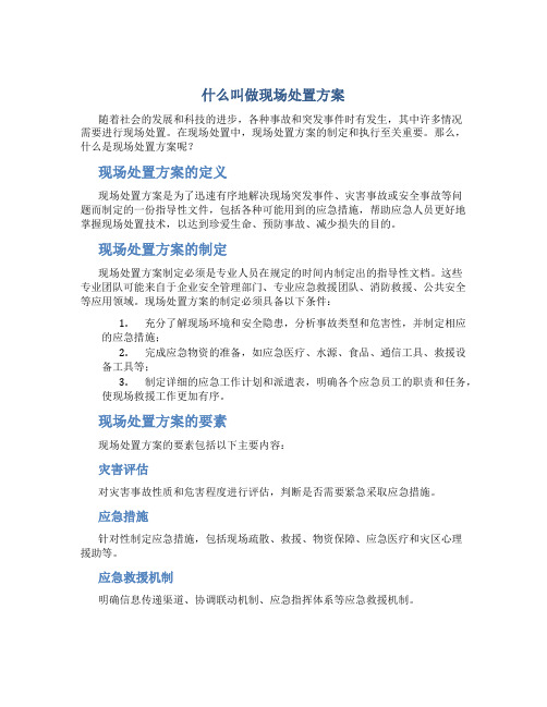 什么叫做现场处置方案