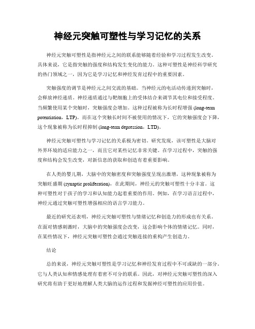 神经元突触可塑性与学习记忆的关系