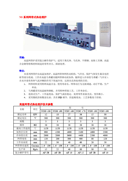 NS系列网带式热处理炉