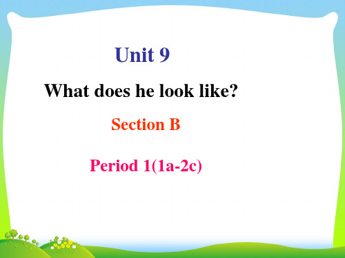 人教版七年级 Unit9_What_does_he_look_like_SectionB_1a-2C