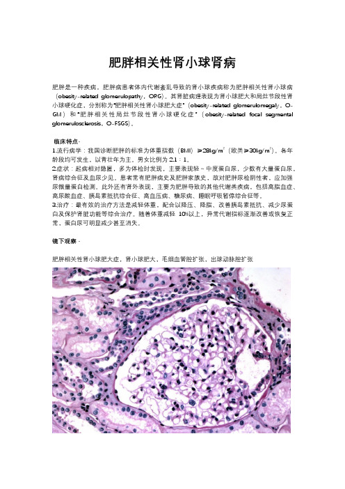 肥胖相关性肾小球肾病
