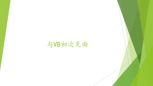 与VB初次见面_课件