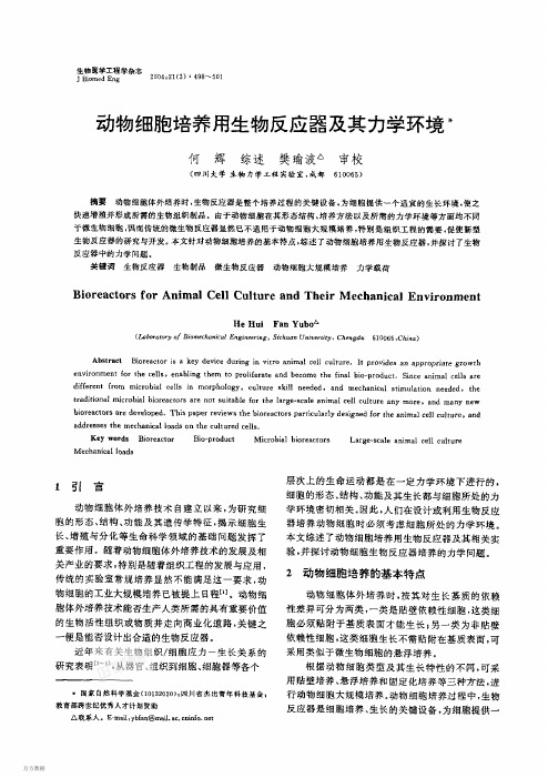 动物细胞培养用生物反应器及其力学环境