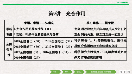 高考试题解析第9讲光合作用
