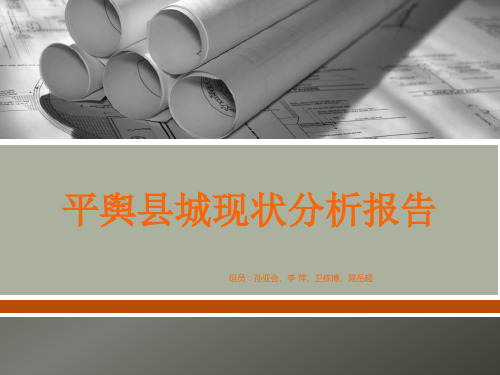 新平舆县城现状分析报告