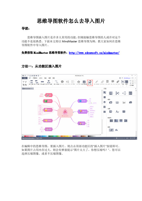 思维导图软件怎么去导入图片