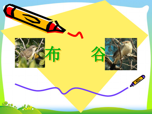 人音版一年级音乐:《布谷》课件2