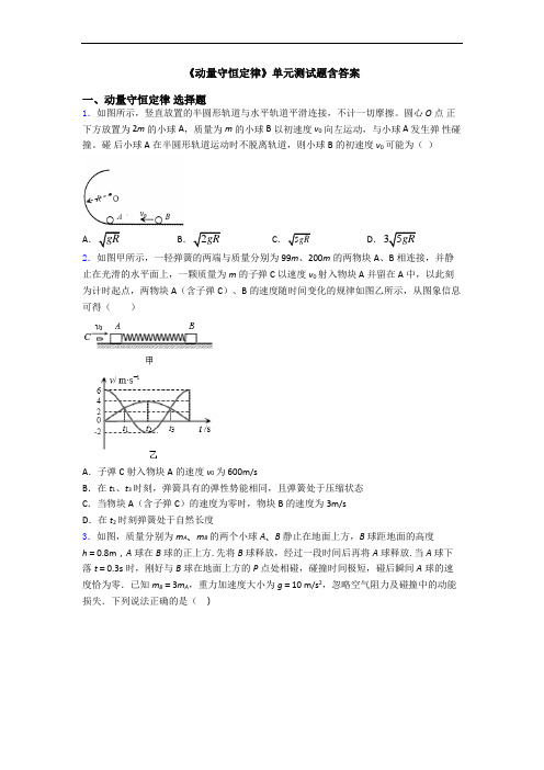 《动量守恒定律》单元测试题含答案