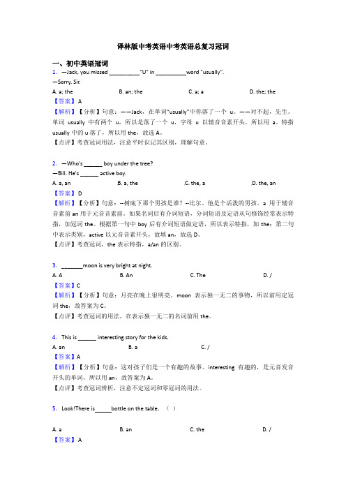 译林版中考英语中考英语总复习冠词