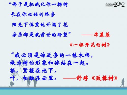 行道树PPT课件91 人教版 (共15张PPT)