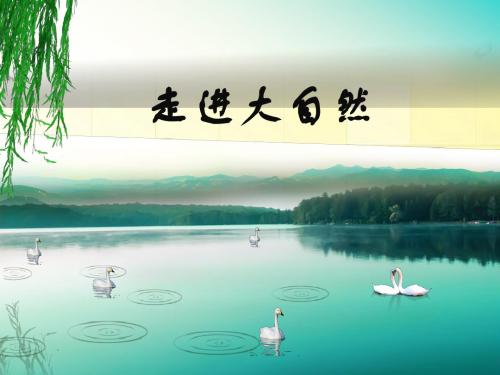 北师大版生物八年级上册19章3节其他生物的生殖课件