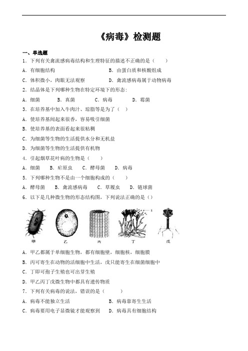 人教版初中生物八年级上册第五单元第五章《病毒》检测题(含答案)