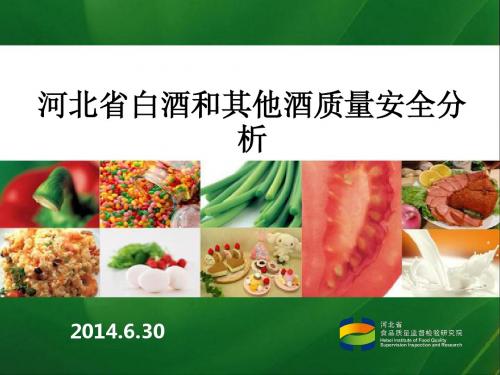 白酒和其他酒质量安全分析