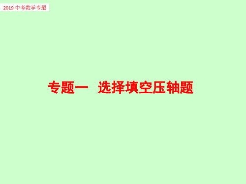 2019年中考数学专题一 选择填空压轴题