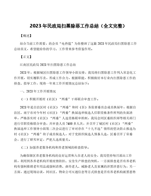 2023年民政局扫黑除恶工作总结(全文完整)