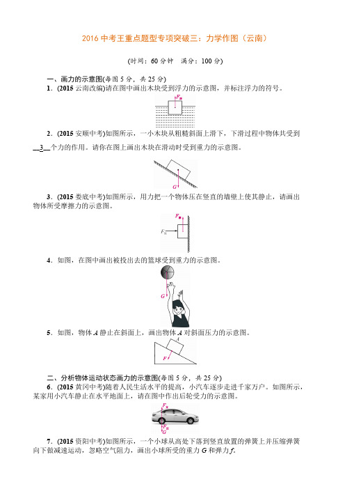 2016中考王重点题型专项突破三：力学作图 (1)