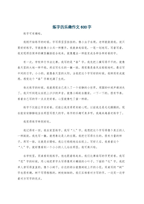 练字的乐趣作文600字