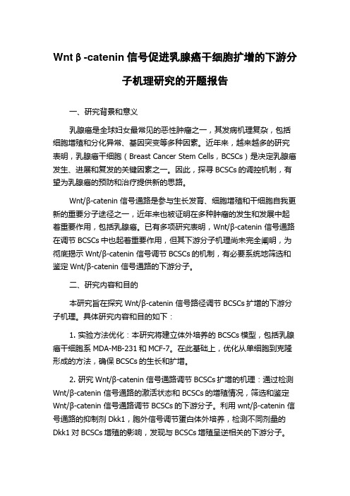 Wntβ-catenin信号促进乳腺癌干细胞扩增的下游分子机理研究的开题报告