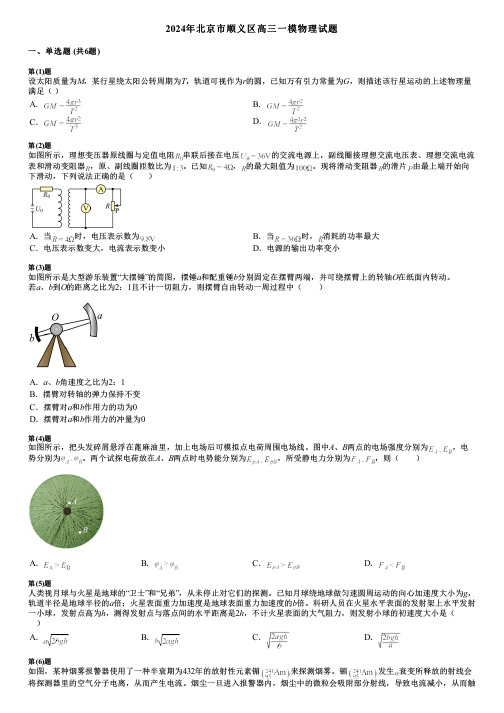 2024年北京市顺义区高三一模物理试题