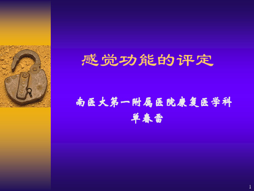 第十七章-感觉功能的评定