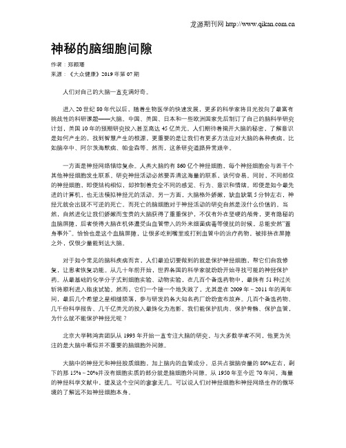 神秘的脑细胞间隙