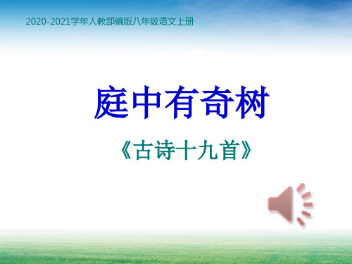 部编本人教版八年级上册语文《庭中有奇树》4PPT课件