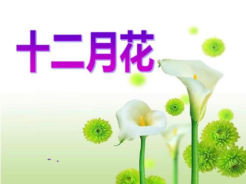 《十二月花歌》PPT课件