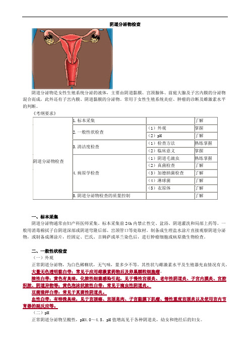 检验基础之阴道分泌物检查