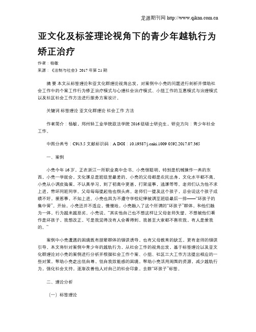 亚文化及标签理论视角下的青少年越轨行为矫正治疗