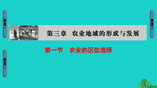 高中地理 第3章 农业地域的形成与发展 第1节 农业的区位选择课件 新人教版必修2