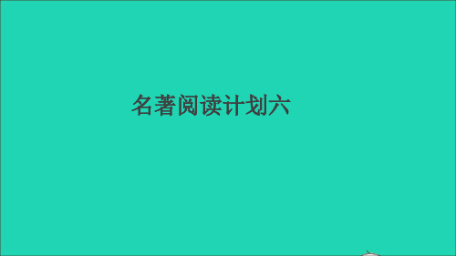 河南专版九年级语文上册第六单元名著阅读计划六作业课件新人教版