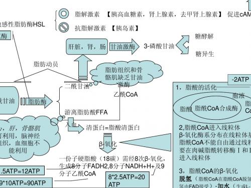 生化危机