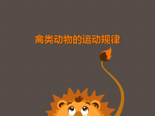 禽类动物的运动规律