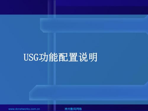 USG功能配置讲解-V40解析