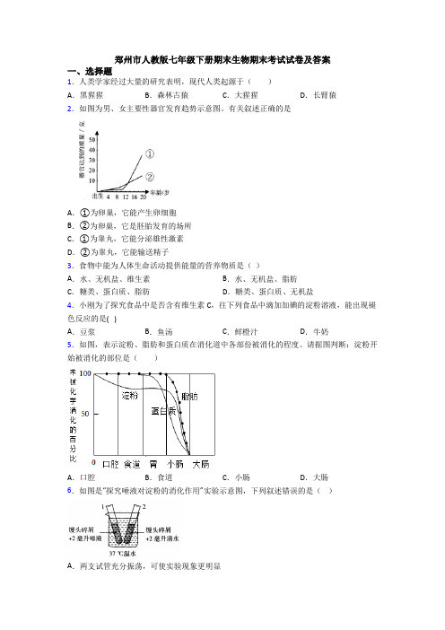 郑州市人教版七年级下册期末生物期末考试试卷及答案