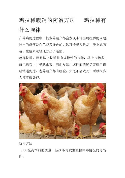 鸡拉稀腹泻的防治方法   鸡拉稀有什么规律