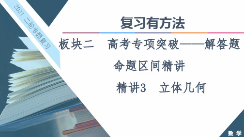 新高考数学 专题 精讲3 立体几何