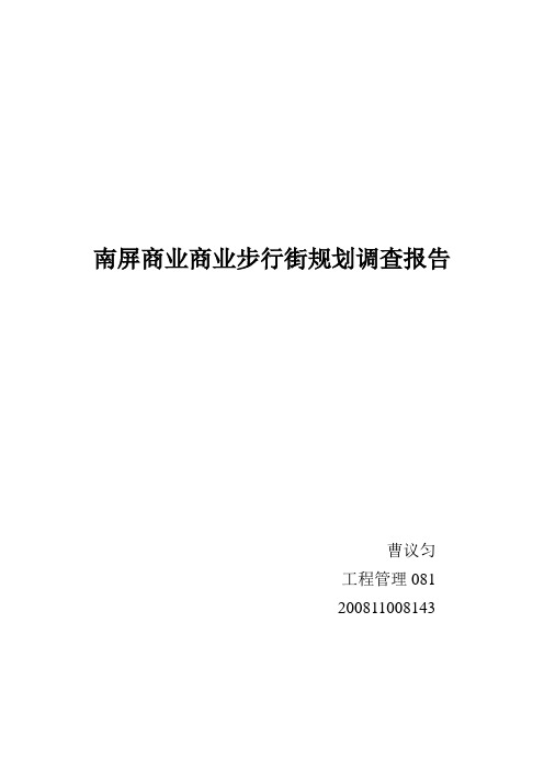 南屏商业商业步行街规划调查报告