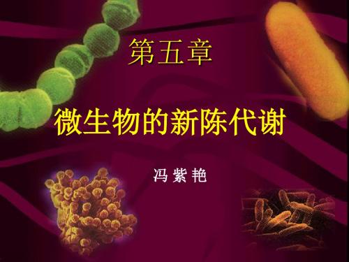 10-12 第五章  微生物的代谢