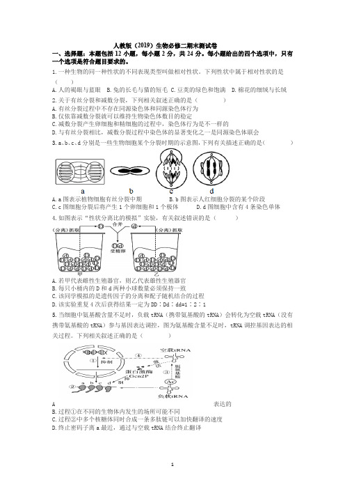 必修二期末测试卷 高一下学期生物人教版必修2