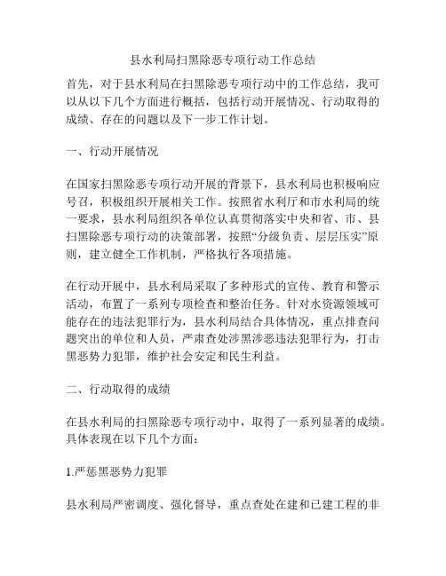 县水利局扫黑除恶专项行动工作总结