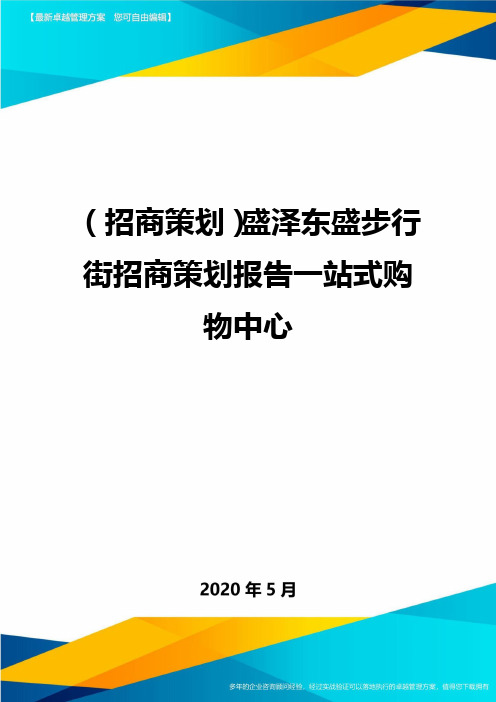 (招商策划)盛泽东盛步行街招商策划报告一站式购物中心