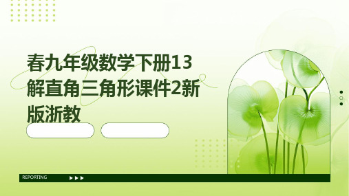 春九年级数学下册13解直角三角形课件2新版浙教