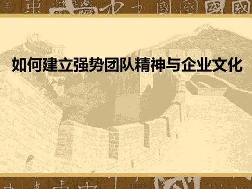 团队精神与企业文化(PPT45页)