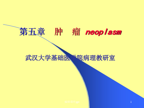 《肿瘤neoplasm》PPT课件