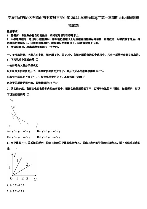 宁夏回族自治区石嘴山市平罗县平罗中学2024学年物理高二第一学期期末达标检测模拟试题含解析