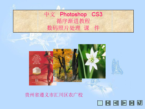 中文PhotoshopCS循序渐进教程数码照片处理 PPT资料共25页