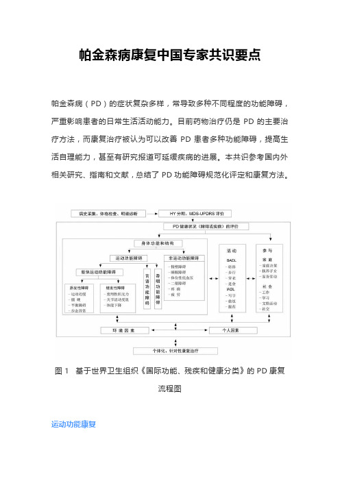 帕金森病康复中国专家共识要点