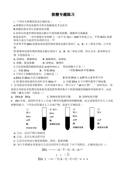 核酸练习题及答案