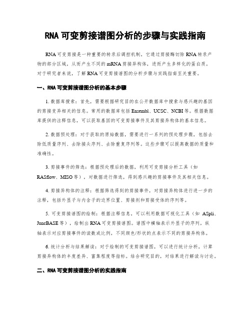 RNA可变剪接谱图分析的步骤与实践指南